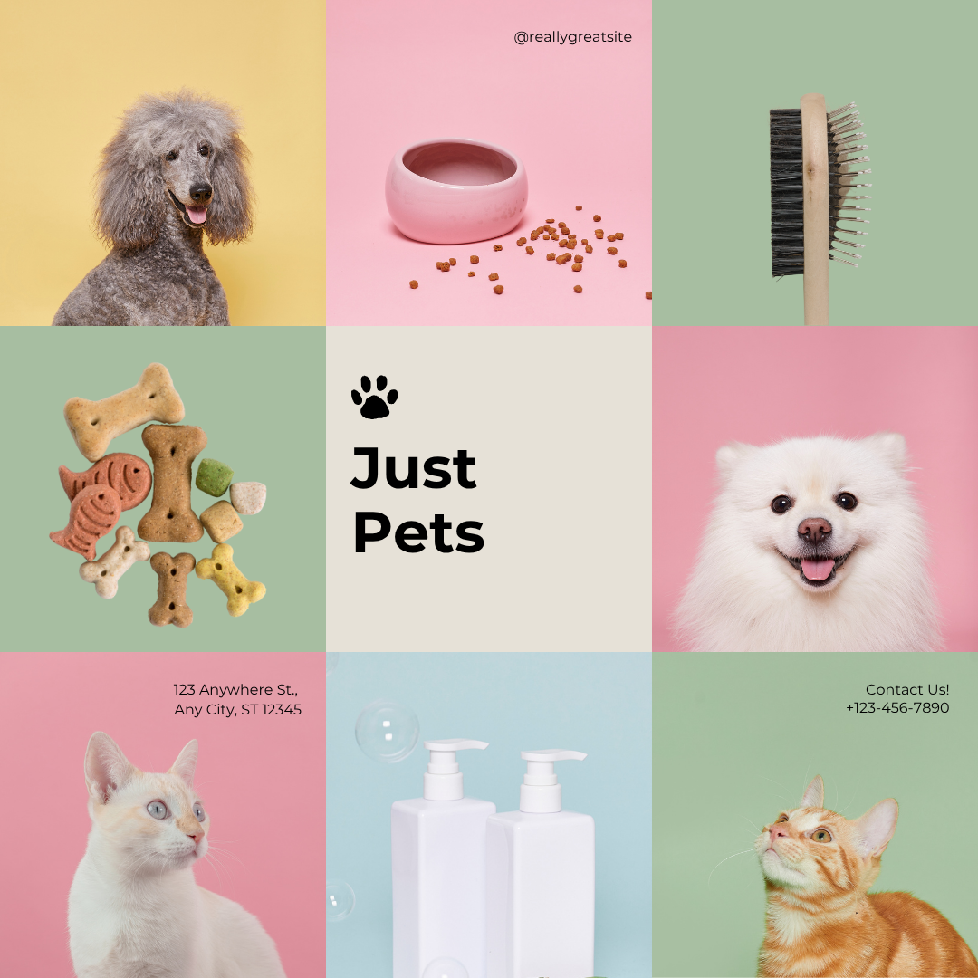 Pet Products